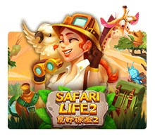 safari life2